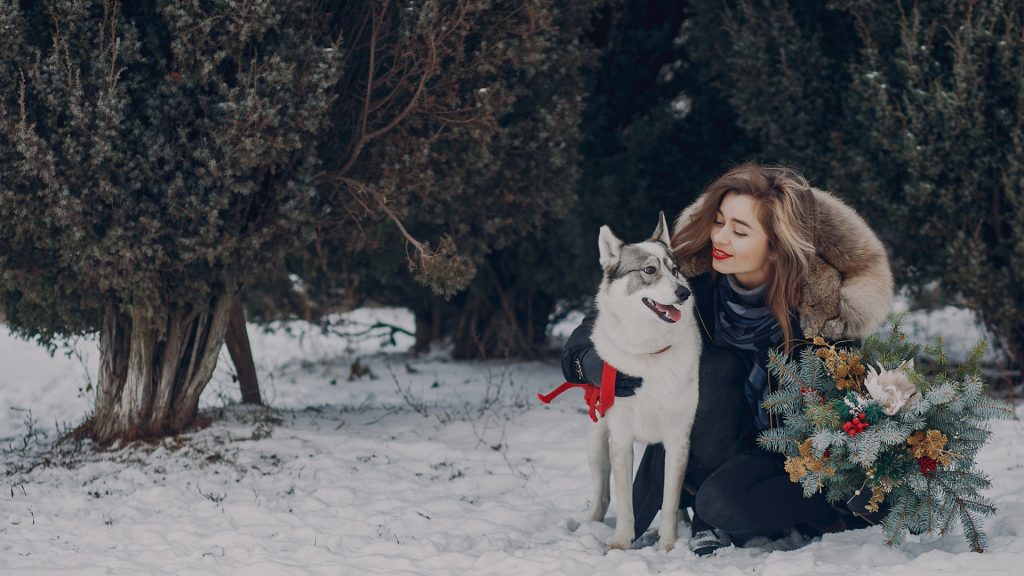 Подорожі з собакою — pet-friendly відпочинок та поради