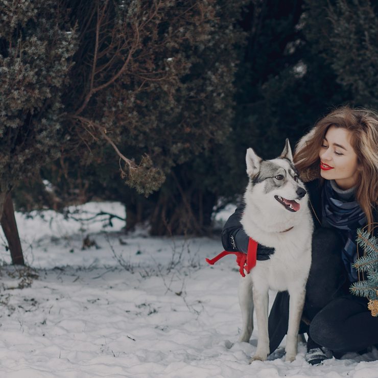 Подорожі з собакою — pet-friendly відпочинок та поради