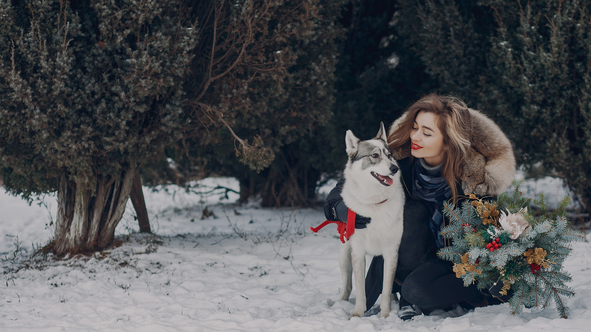 Подорожі з собакою — pet-friendly відпочинок та поради