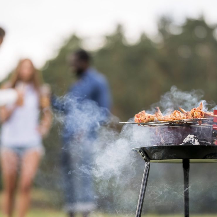 Що приготувати на грилі: 7 рецептів для весняного відпочинку